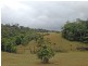 Topaz QLD 4885