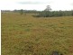 Topaz QLD 4885