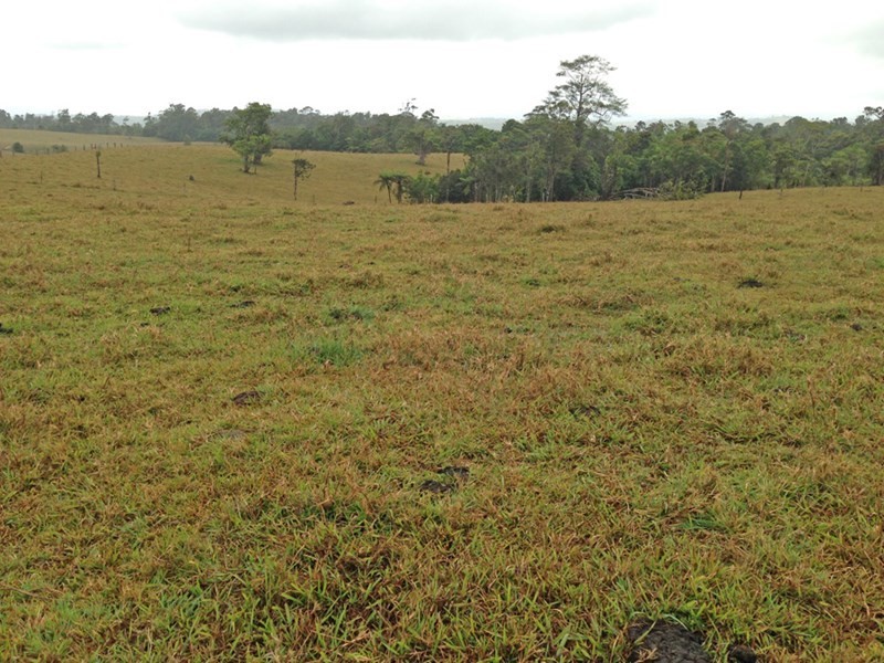 Topaz QLD 4885