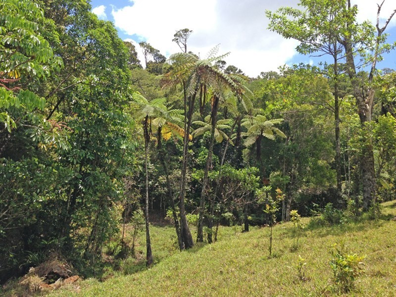 Topaz QLD 4885