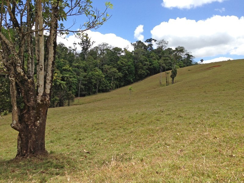 Topaz QLD 4885