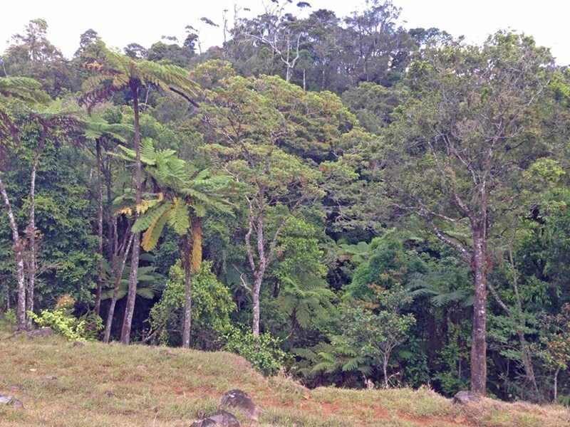 Topaz QLD 4885
