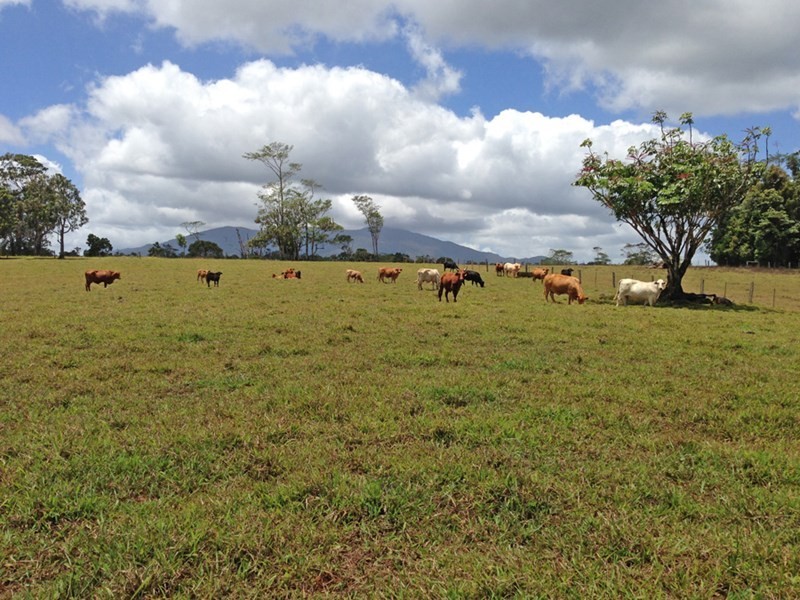 Topaz QLD 4885