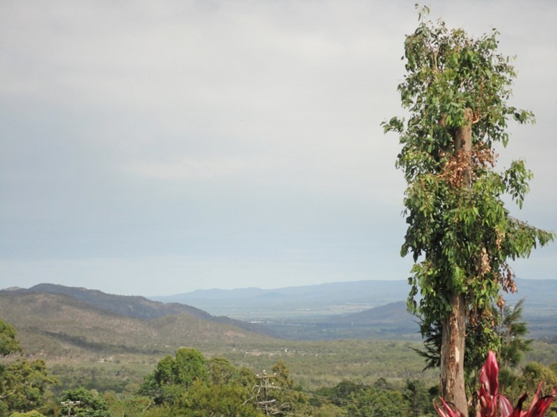 Tolga QLD 4882