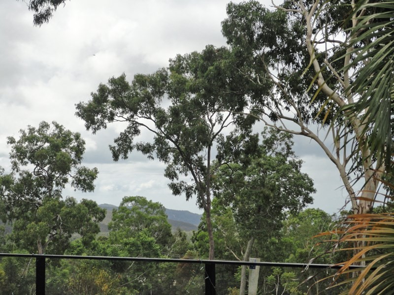 Tolga QLD 4882