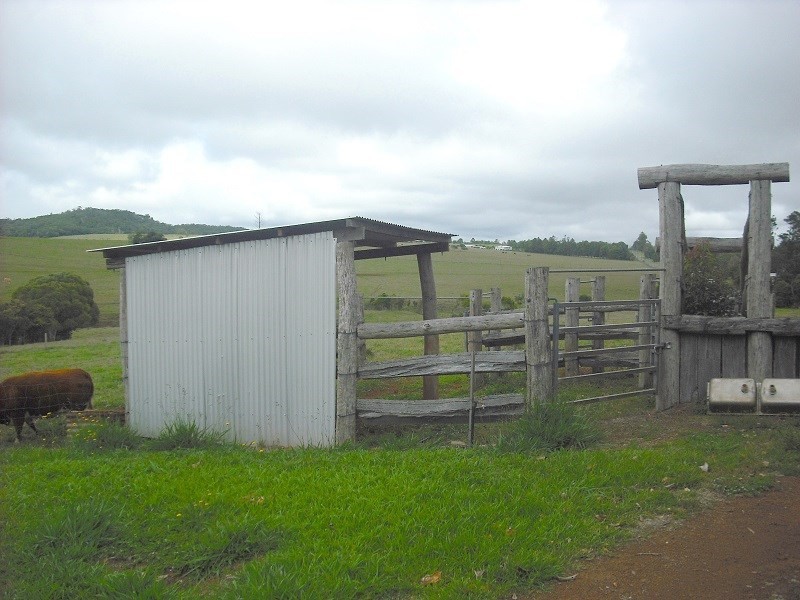 Lake Eacham QLD 4884