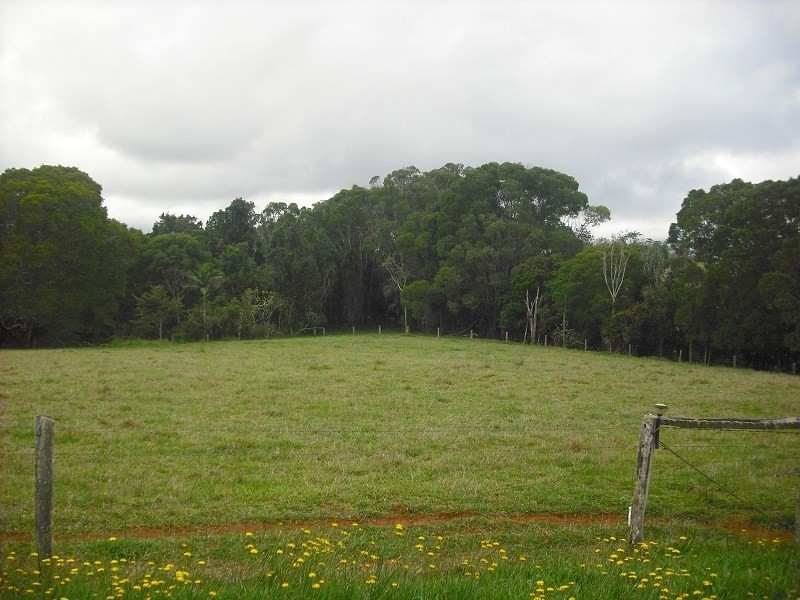 Lake Eacham QLD 4884