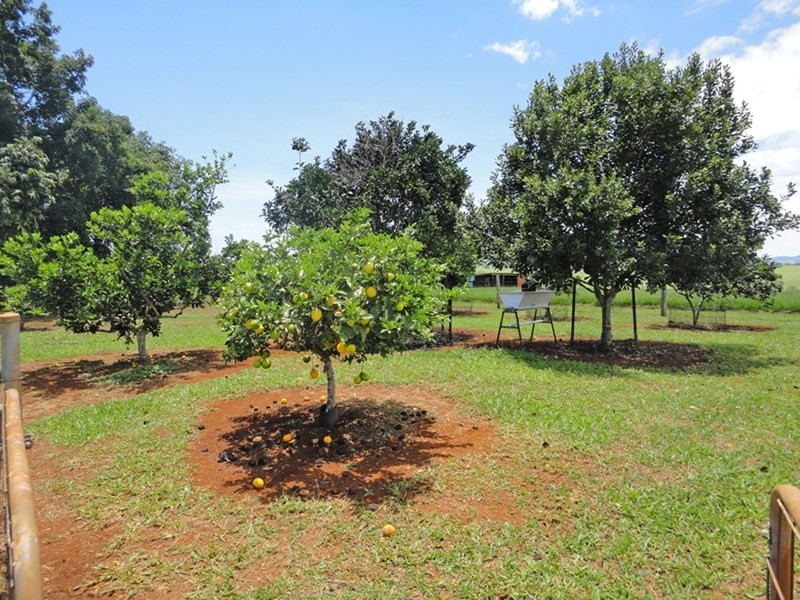 Malanda QLD 4885