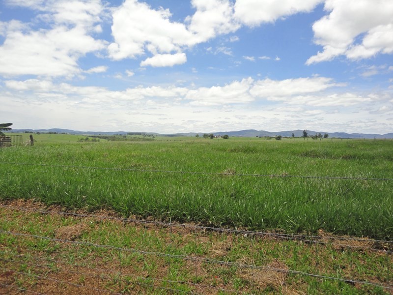 Malanda QLD 4885
