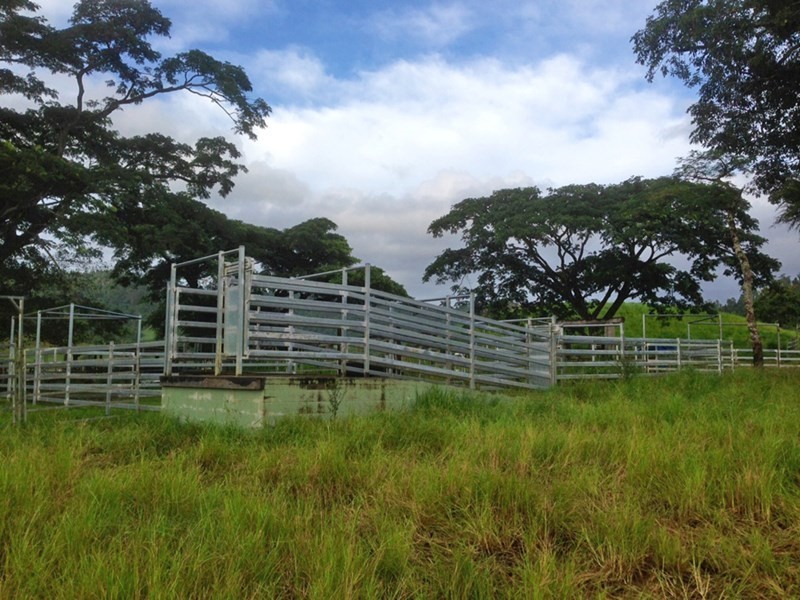Mena Creek QLD 4871