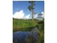 Mena Creek QLD 4871