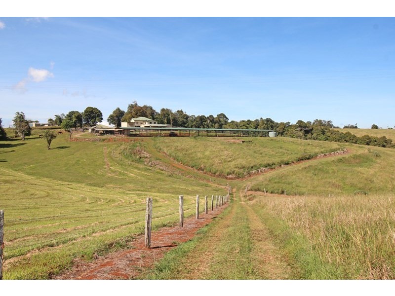 Millaa Millaa QLD 4886