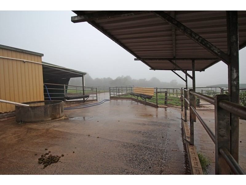 Millaa Millaa QLD 4886