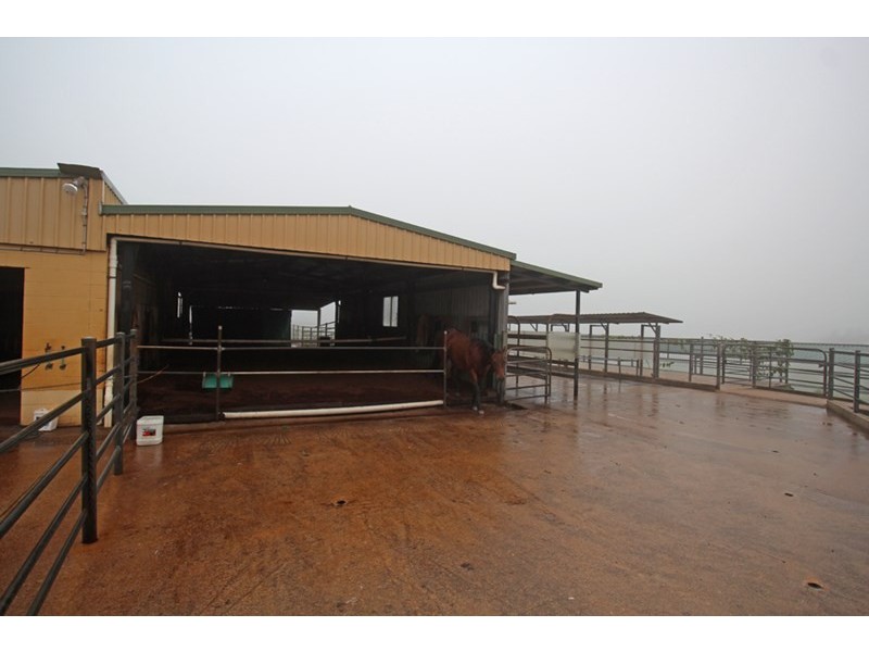 Millaa Millaa QLD 4886