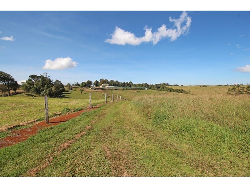 Millaa Millaa QLD 4886