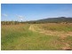 Millaa Millaa QLD 4886