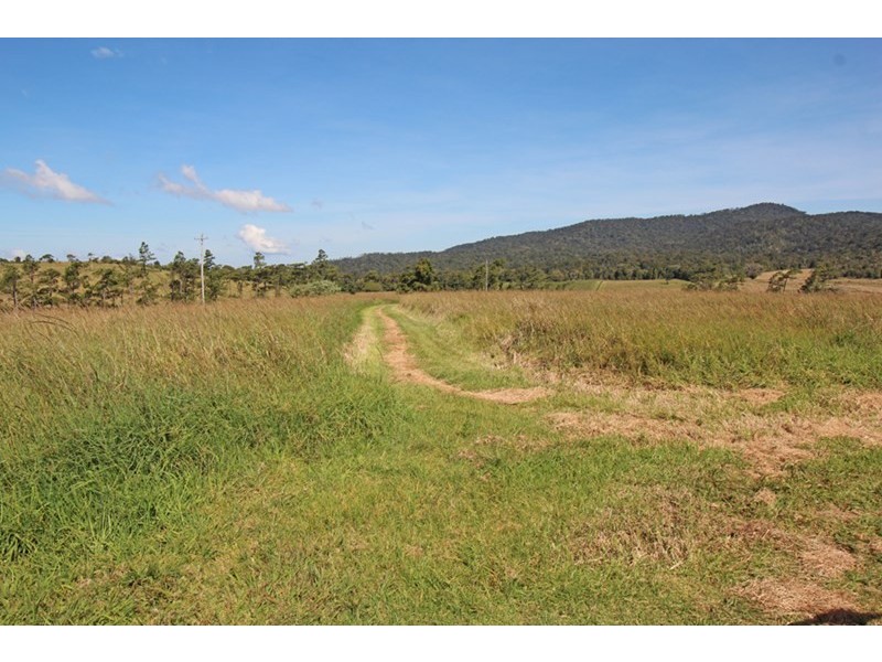 Millaa Millaa QLD 4886