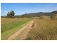 Millaa Millaa QLD 4886