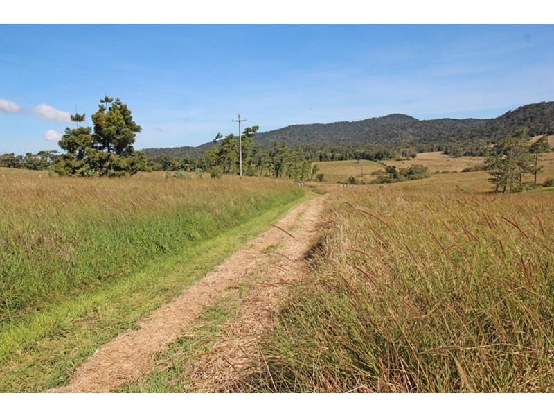 Millaa Millaa QLD 4886