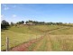 Millaa Millaa QLD 4886