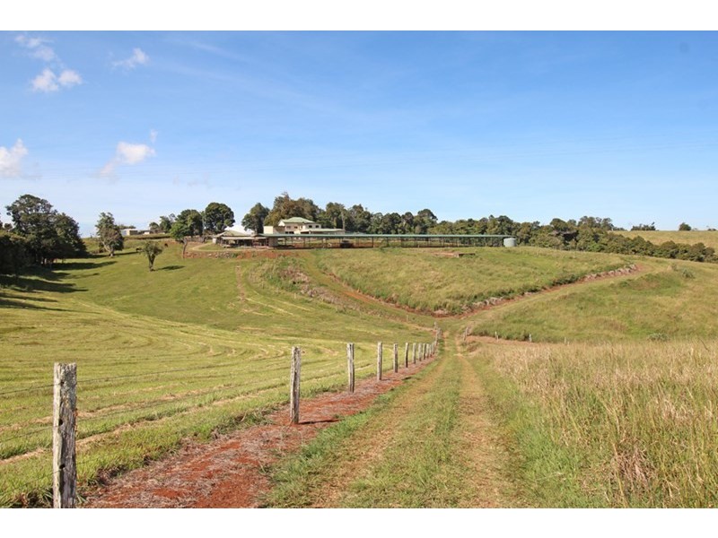 Millaa Millaa QLD 4886
