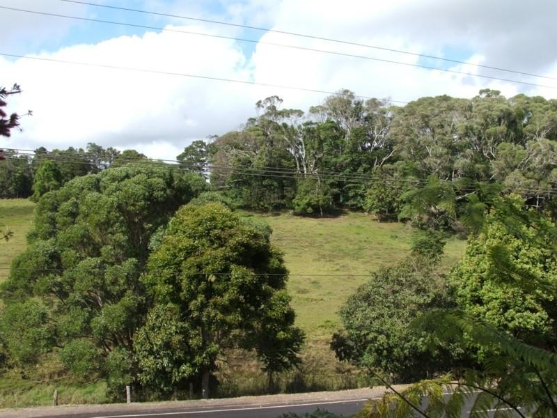 Yungaburra QLD 4884