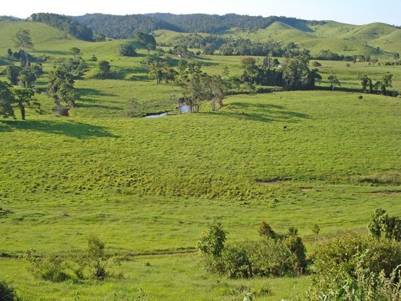 Millaa Millaa QLD 4886