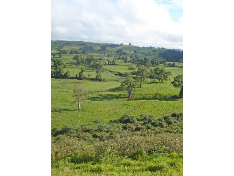 Millaa Millaa QLD 4886