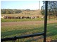 Millaa Millaa QLD 4886