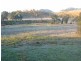 Millaa Millaa QLD 4886
