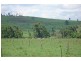 Millaa Millaa QLD 4886