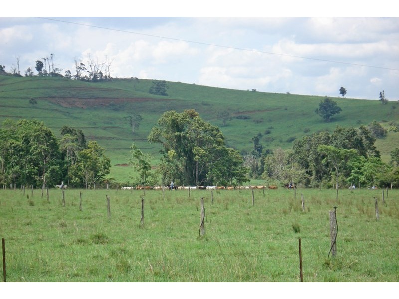 Millaa Millaa QLD 4886