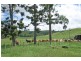 Millaa Millaa QLD 4886