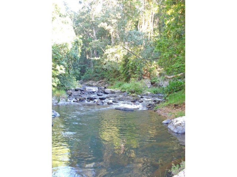 Millaa Millaa QLD 4886