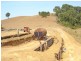 Millaa Millaa QLD 4886