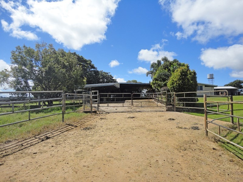 Upper Barron QLD 4883