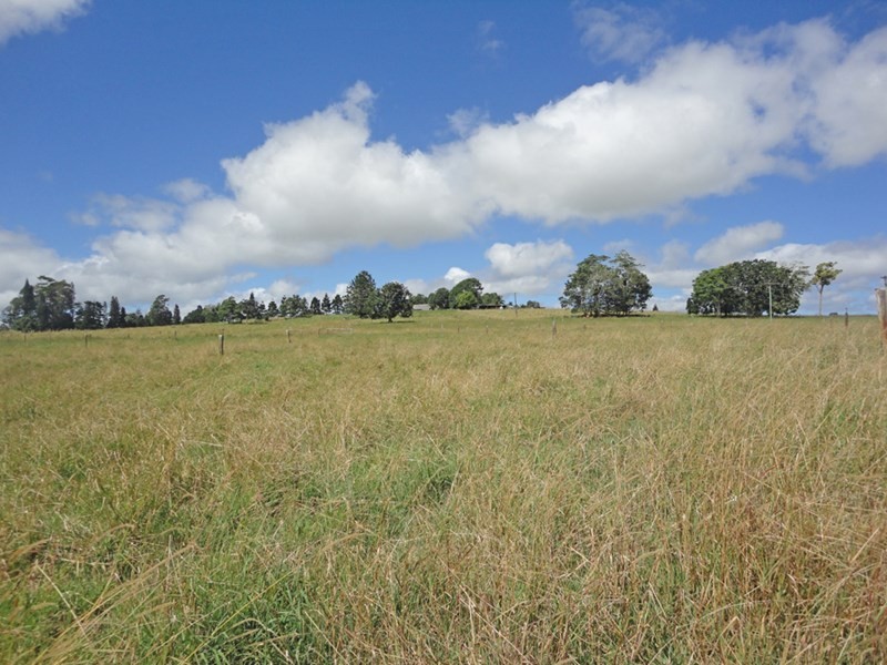 Upper Barron QLD 4883