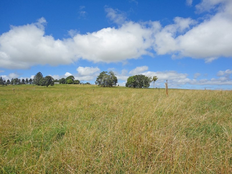 Upper Barron QLD 4883