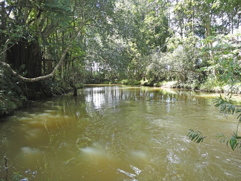 Upper Barron QLD 4883