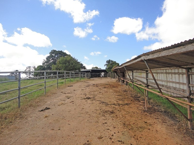 Upper Barron QLD 4883