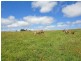 Upper Barron QLD 4883
