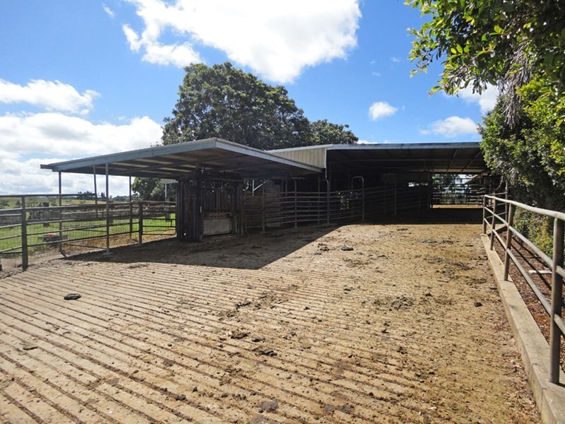 Upper Barron QLD 4883