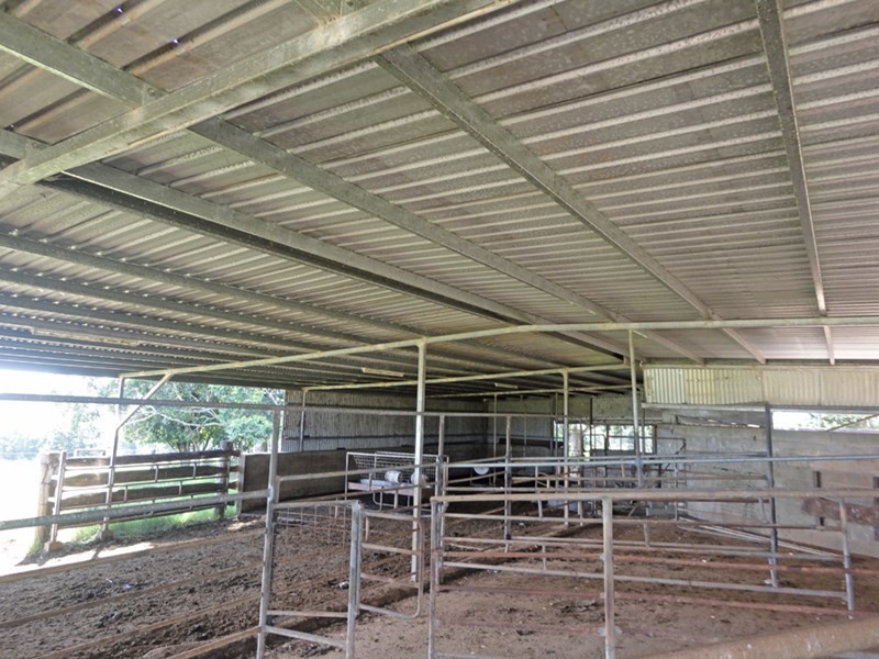 Upper Barron QLD 4883