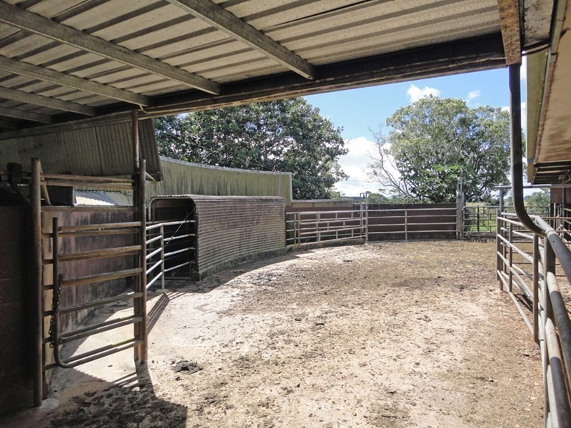 Upper Barron QLD 4883