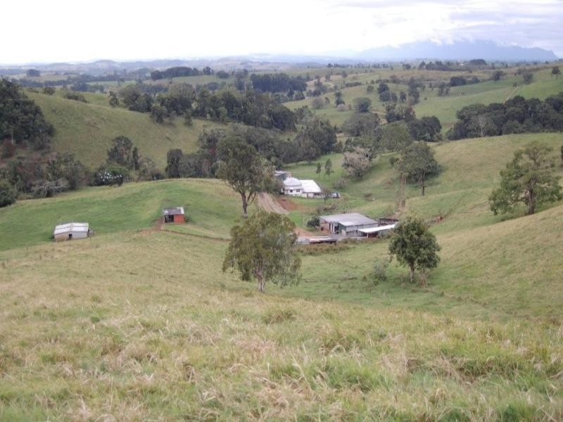 Millaa Millaa QLD 4886