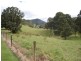 Millaa Millaa QLD 4886