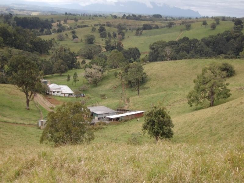 Millaa Millaa QLD 4886