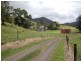 Millaa Millaa QLD 4886