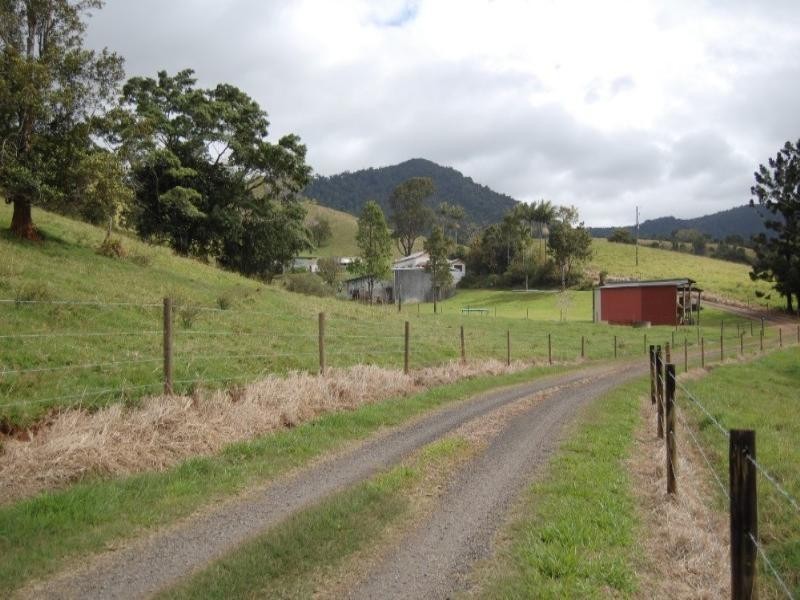 Millaa Millaa QLD 4886