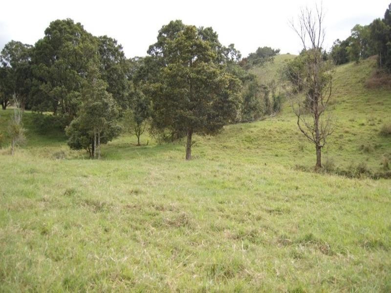 Millaa Millaa QLD 4886